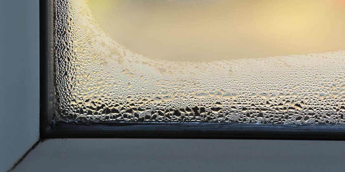 condensation treatments in lake-district